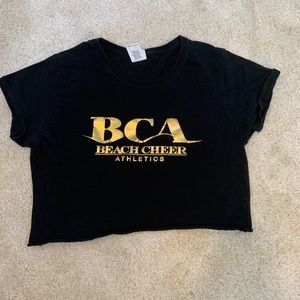 BCA crop top